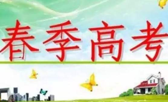 天津春考的优势