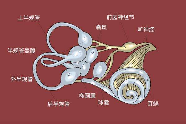 耳石症如何治疗?