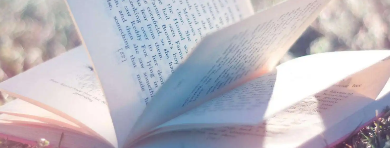 2022年河北省成人高考录取时间是什么时候