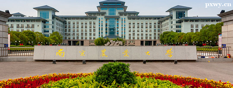 ũҵ���ù������п�Ŀ��ʲô