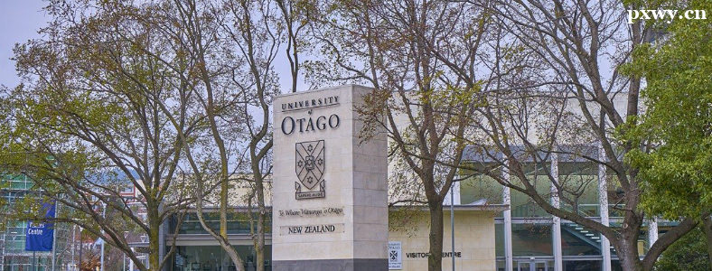 �������������ѧ����������ʲô