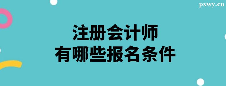 2024��ע����ʦ���Ա���������ʲô