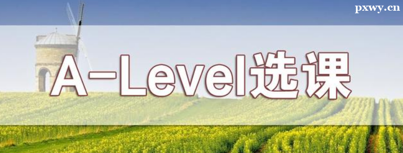 A-Level�Ŀ��Կ�Ŀ��ôѡ