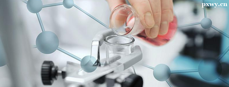 �����ѧ���п�Ŀ��ʲô