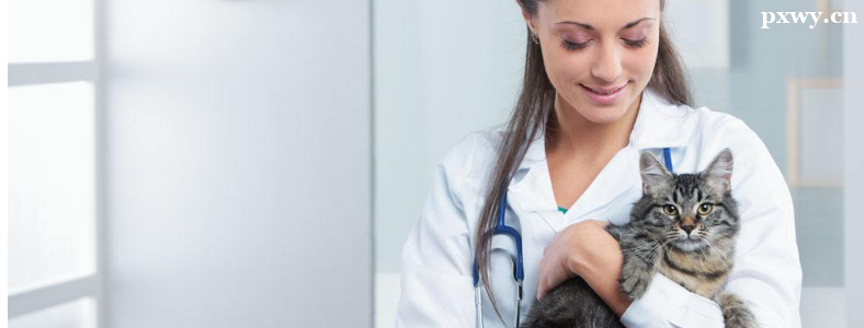 ��ҽѧ���з�������Щѡ��