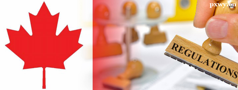 ���ô󱾿�����;������Щ