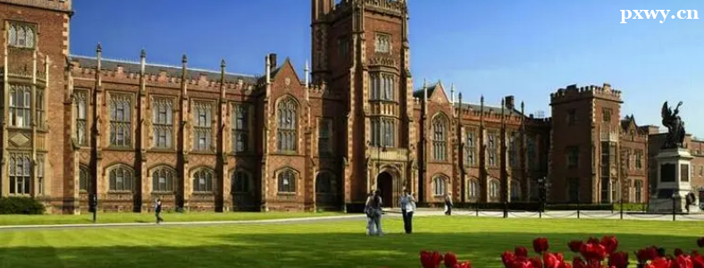 ���ѡ�����Ӣ����ѧ����