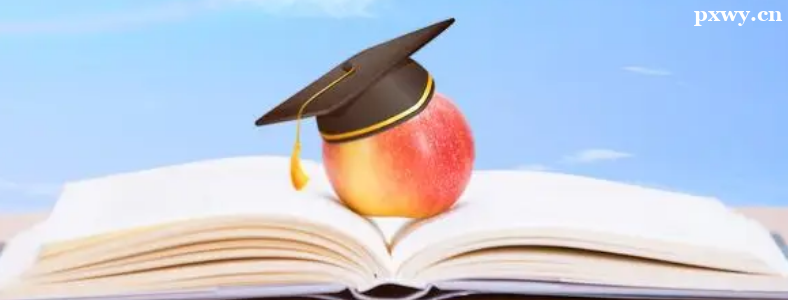 ����ϰ���ְ�о�������������ʲô