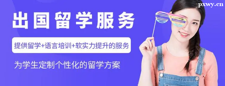 ѡ��֣����ѧ������������ʲô