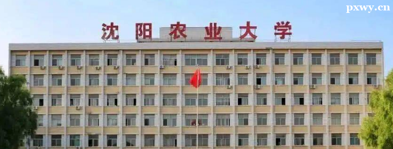 ũѧרҵ���з���ѡ���ĸ�רҵ��