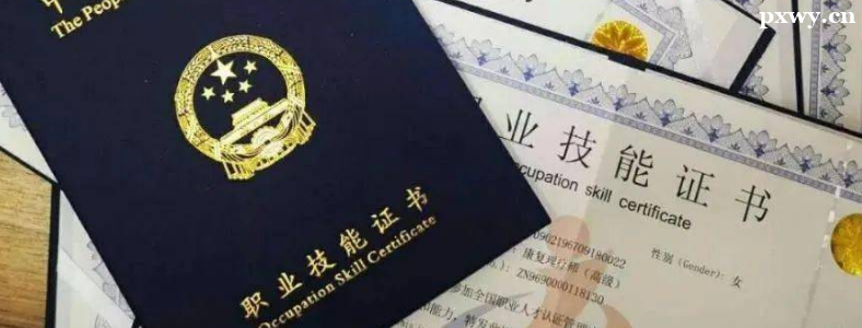 ���ҳ�����ҽ��������ʦ֤��