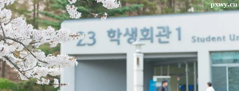 ȥ������ѧ��ȥ�ձ���ѧ�ĸ���