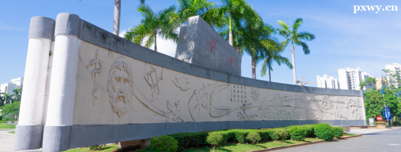 ���������ѧҽѧ˶ʿ����ЩѧУ����