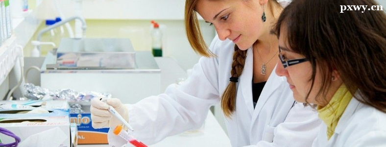 ���﹤��רҵ����ǰ����ô��