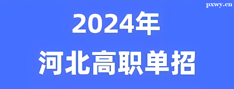 2024��ӱ����п������������ܣ��壩