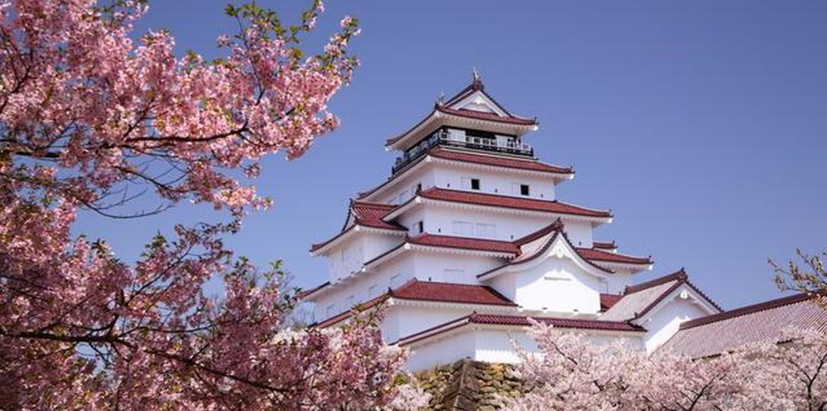 日本大学别科是什么?有什么优点?