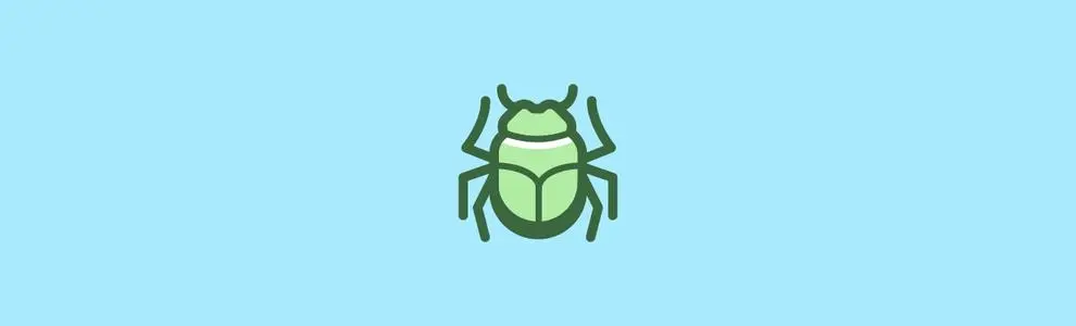 ����BUG