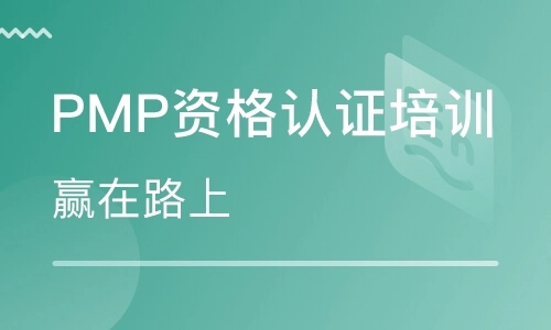 PMP��ѵ