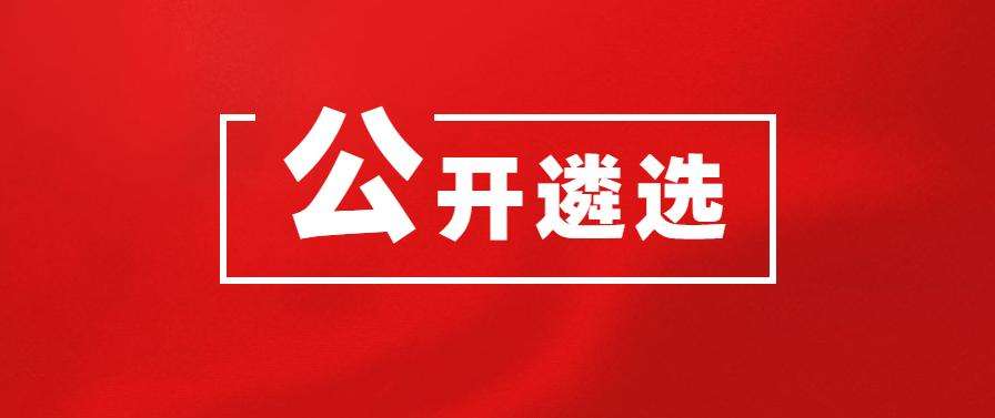 2021��ɽ��ʡ�����ع�����ѡ����Ա���淢��