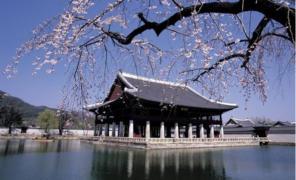 去韩国留学比较好的文理科专业推荐