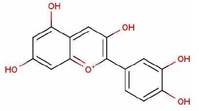 ����Ա���Գ�ʶ���ۣ�����������
