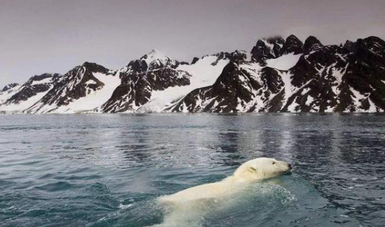 Ų����ѧ֮Ų�������ξ���