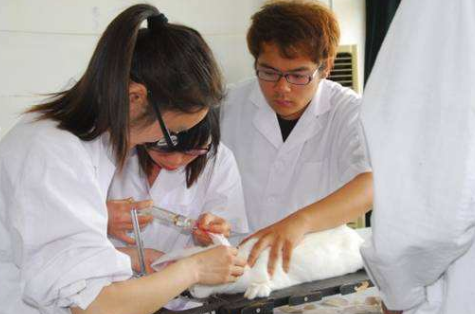 ִҵҽʦ�������д��ְ�ʸ����