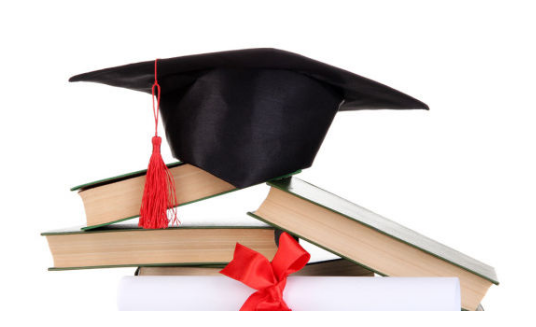 ������ο���������������