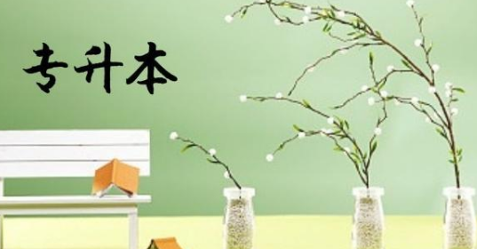 ר����ʱ�����׸�ѡ��ʲôרҵ�أ�