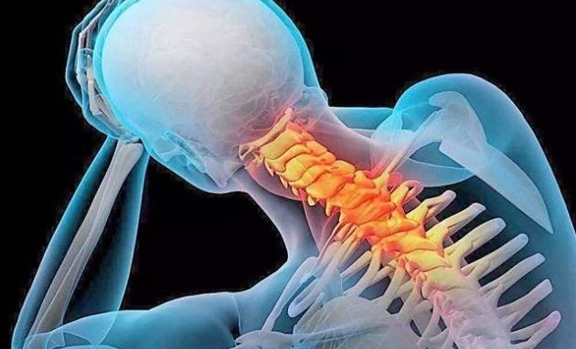 �����;�׵���������