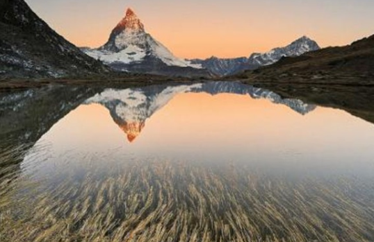 ��ʿ��ѧ֮��ʿ��ɫ����