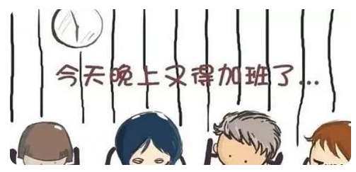 ������ѯʦ��Ҫ�˽����������������