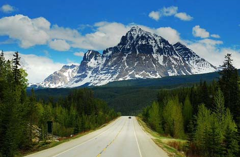 ���ô���ѧ֮���ô���罻����