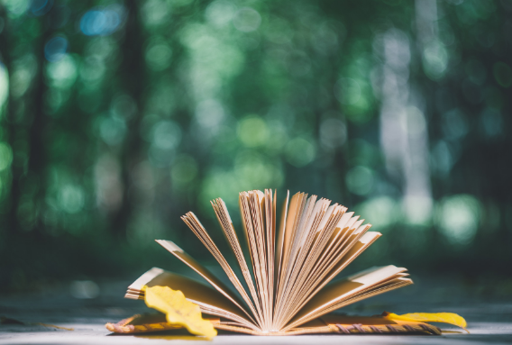 ������˽⹤�̹���רҵ��