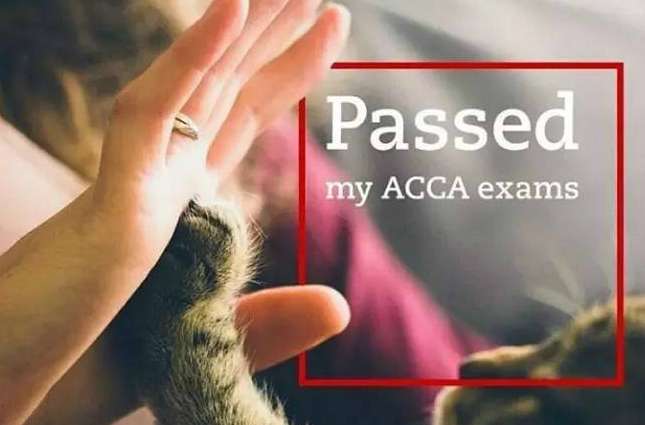 ACCA����P�׶εİ�����Щ���Կ�Ŀ��