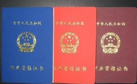 ��ѯ����ʦ�ķ�չǰ����״����