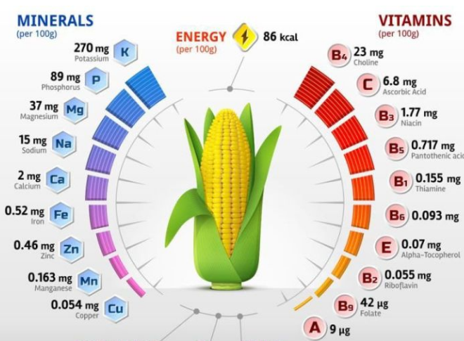 Ӫ����Ӫ��ʦ����ؽ���