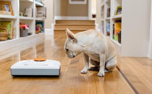 �˹����ܵķ�չ�����ڱ׻��Ǳ״�������