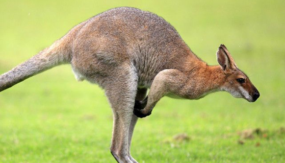 �Ĵ�������ѧ֮ʮ�����ж����˽�