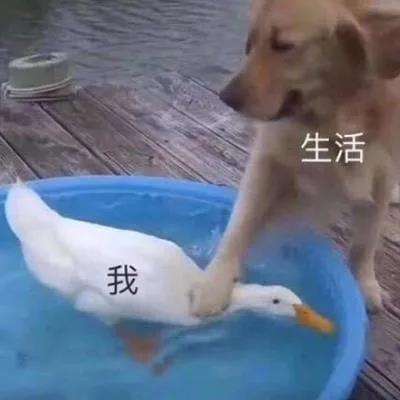 ��˼���ﱸ����·