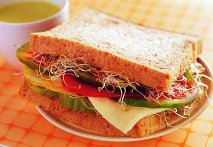 Ӫ��ʦ��ְҵ�ſ�����