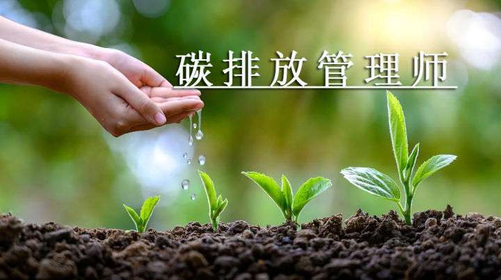 ̼�ŷŹ���ʦ��ѵ��������Щ