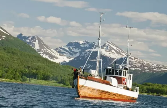 ����Ų����ѧ��Ҫע��ʲô���⣿