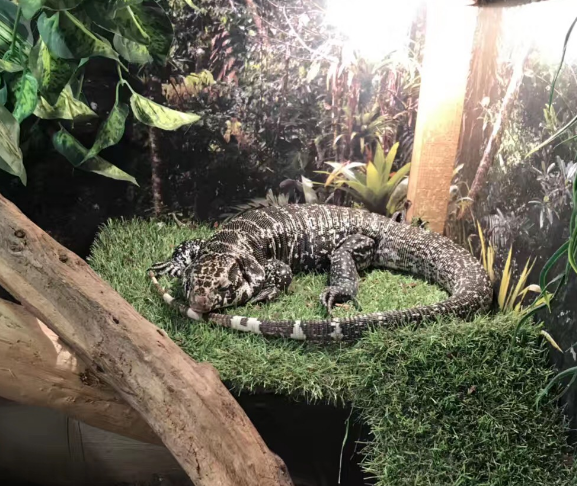 ȥ����˹��ѧӦ��ע����Щ��ȫ���⣿