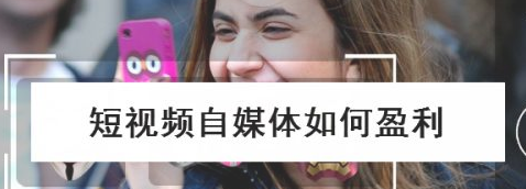 ����Ƶ��ý��ӯ���ķ�ʽ����