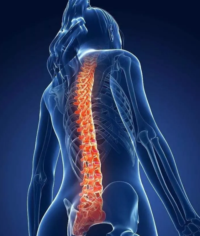 ��������ı��ֺ�֢״�������