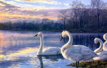 ע����ʦ֤���ô���������Ⱥ