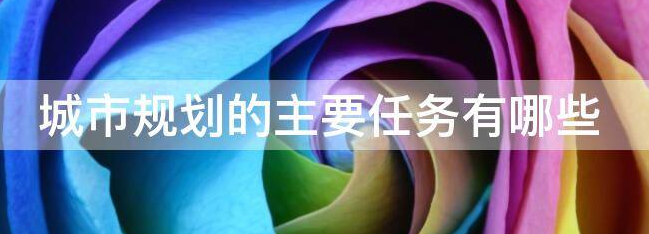 ���й滮ʦ����Ҫ�滮������ʲô��