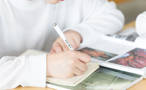 ��α���SAT��ѧ���ԣ�