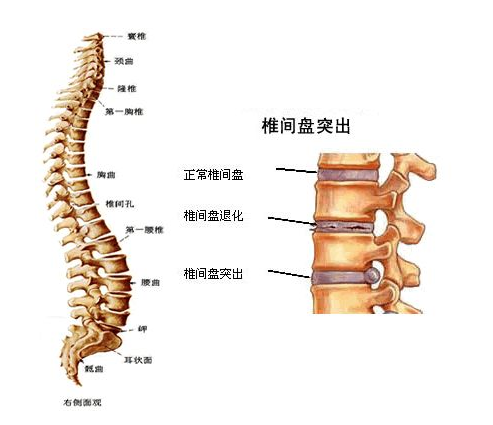 ִҵҽʦӦ��֪����׵����ͻ�������֪ʶ